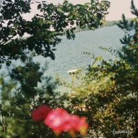 Sunfish ( Other Stories on Green Lake)