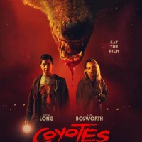Coyotes