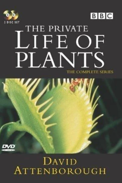 The Private Life of Plants