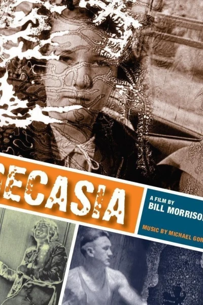 Decasia: The State of Decay