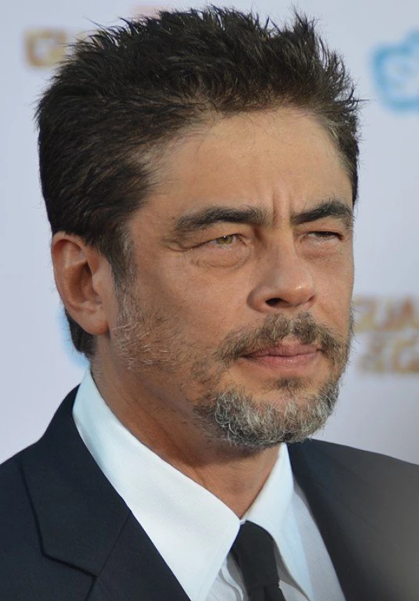 <strong>Benicio del Toro</strong>. Image by Mingle Media TV.