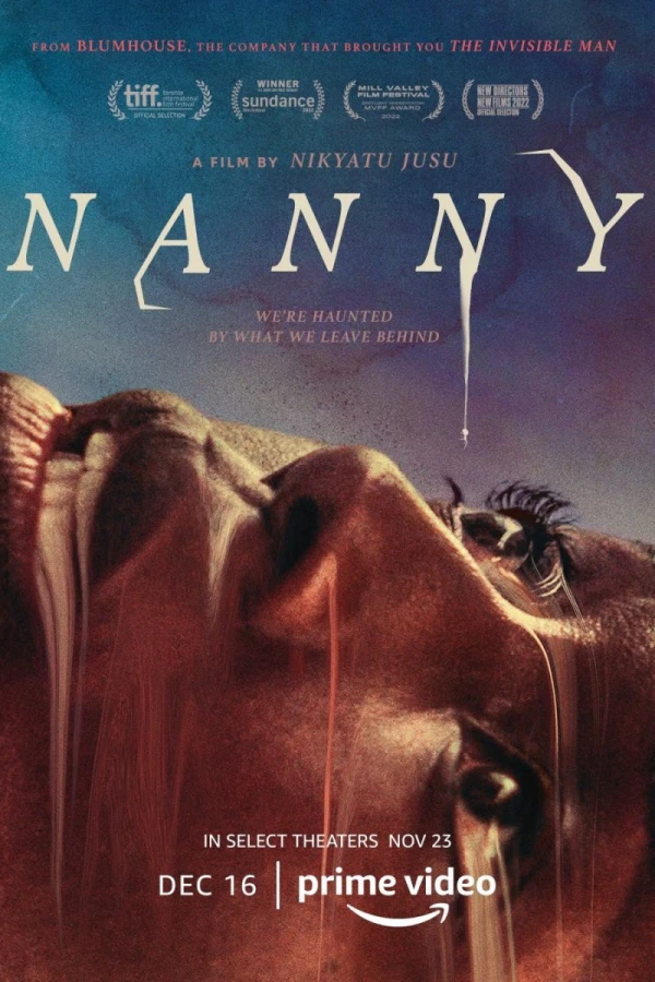 Nanny Poster