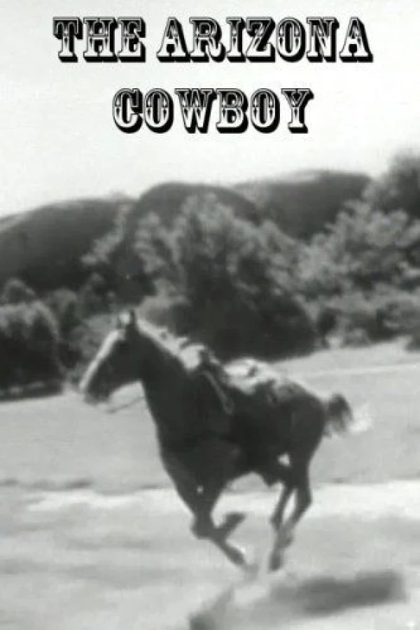 The Arizona Cowboy Poster