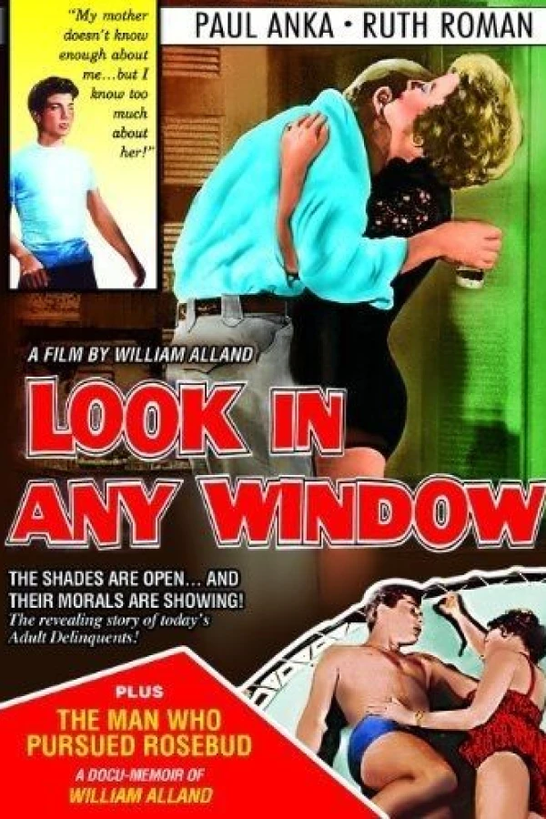 Look in Any Window Poster