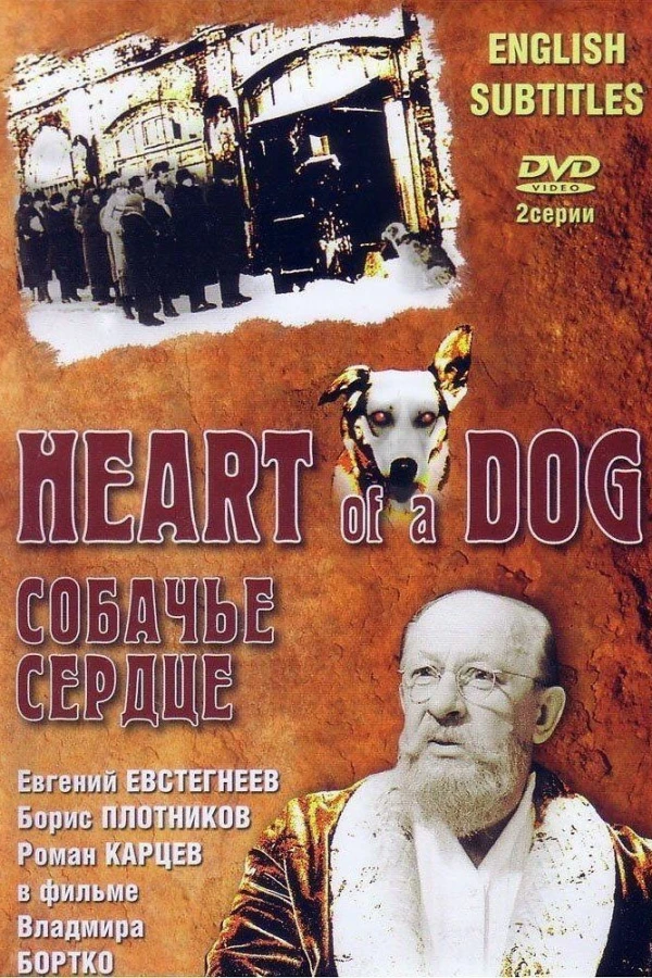 Heart of a Dog Poster