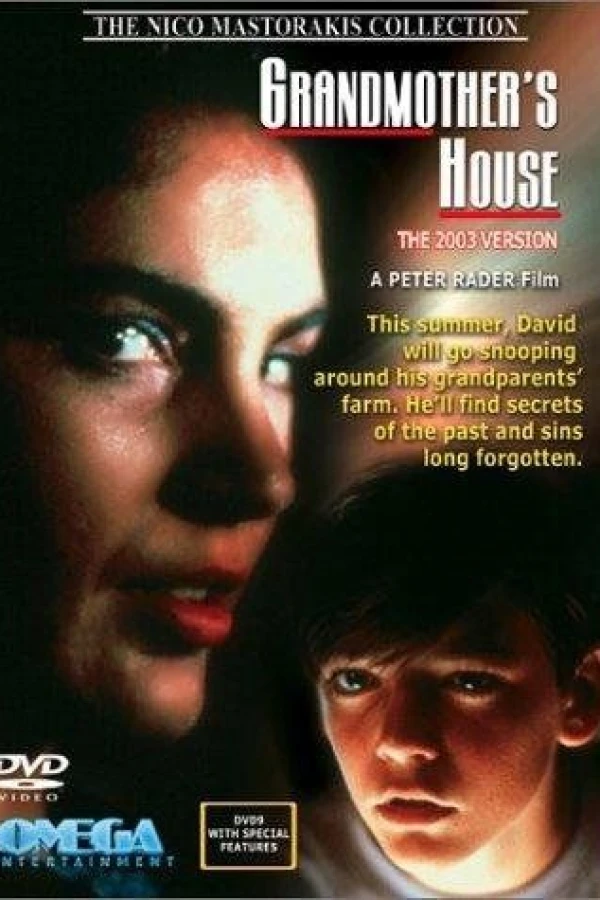 Grandma's House Poster
