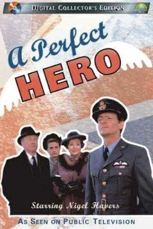 A Perfect Hero Poster