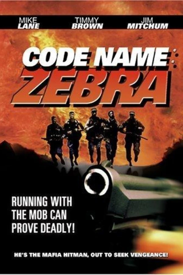 Code Name: Zebra Poster