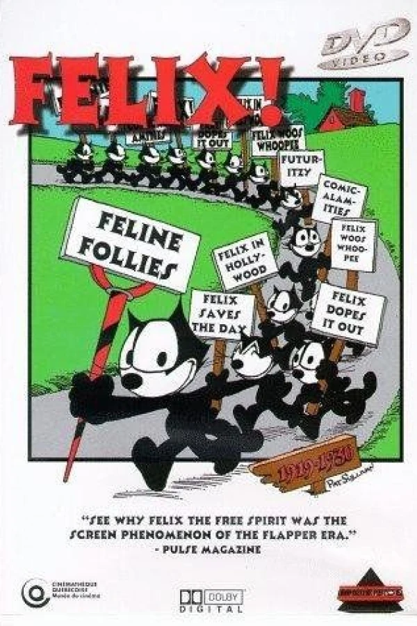 Feline Follies Poster