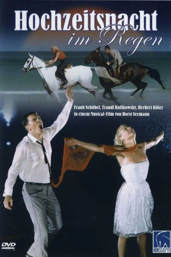 Wedding Night in the Rain Poster