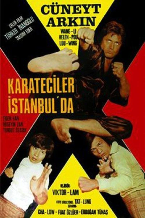 Karate on the Bosporus Poster