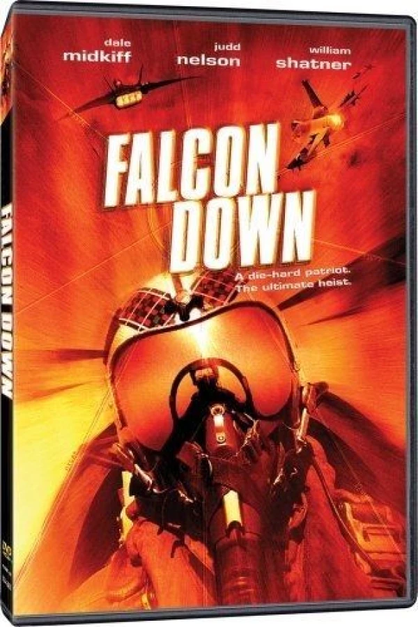 Falcon Down Poster