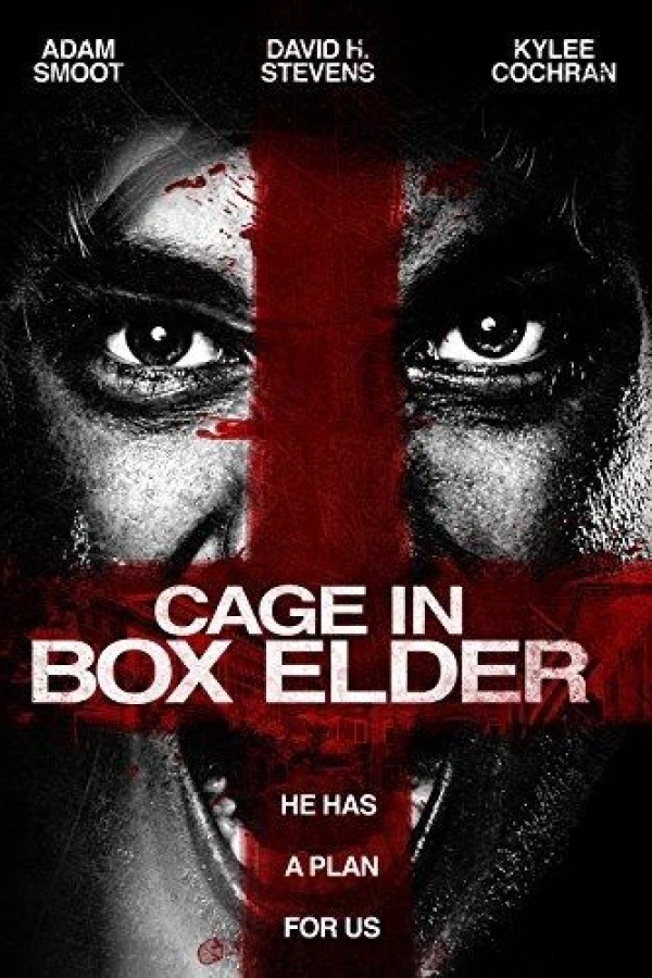 Cage in Box Elder Poster