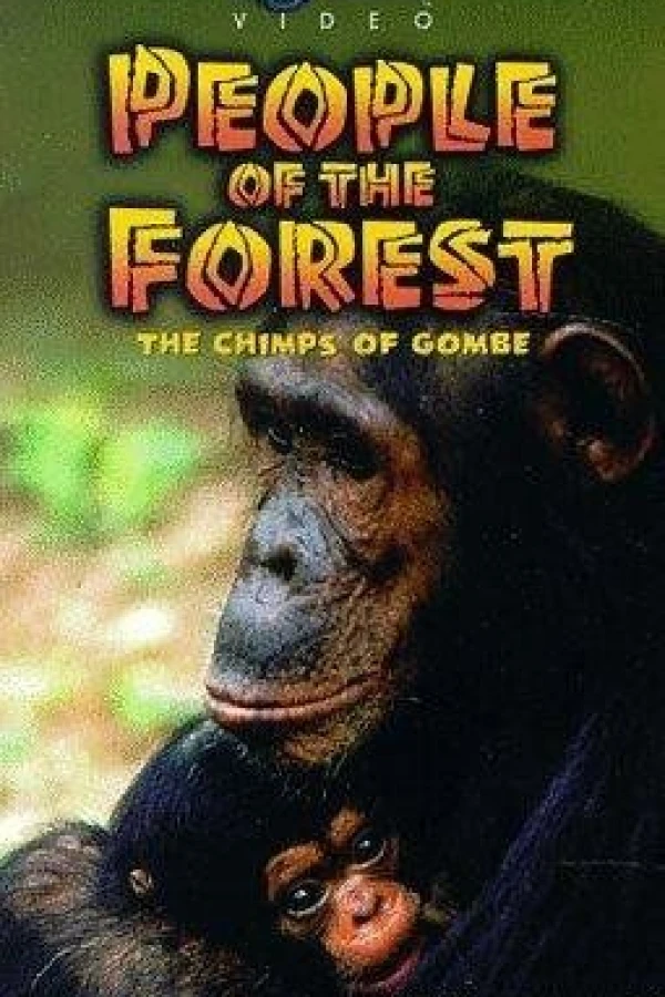 People of the Forest: The Chimps of Gombe Poster