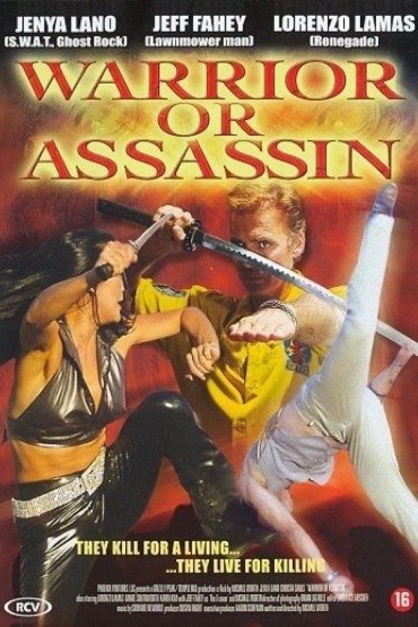 Warrior or Assassin Poster