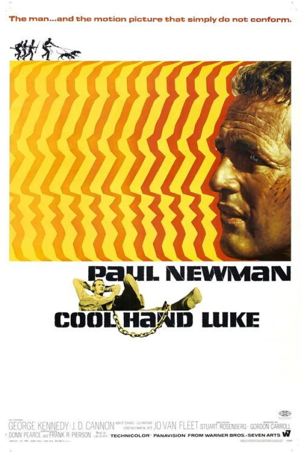 Cool Hand Luke Poster