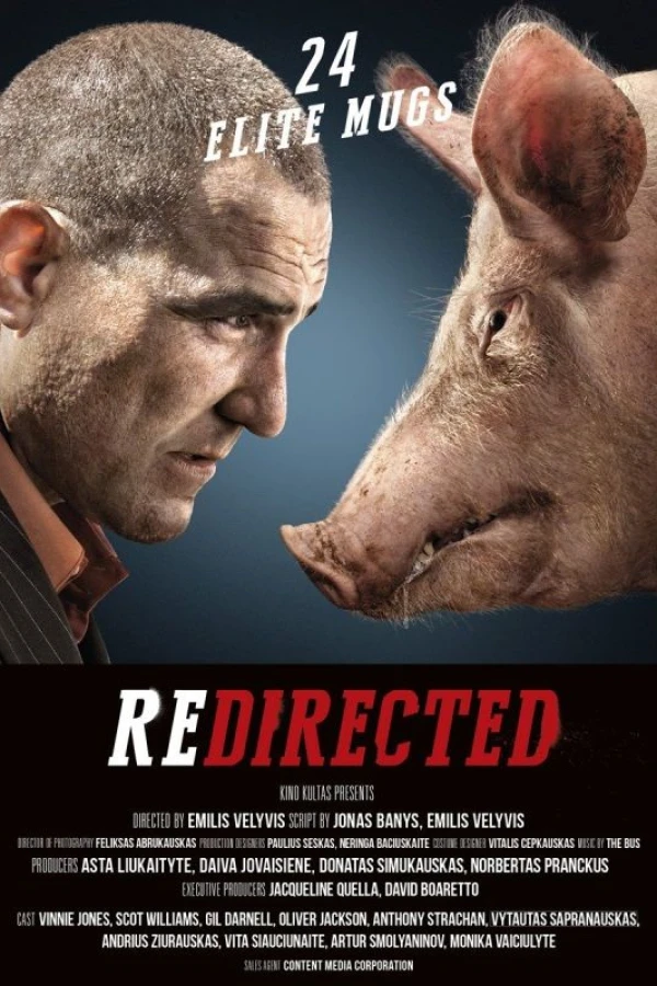 Redirected Poster