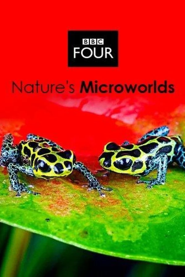 Nature's Microworlds Poster