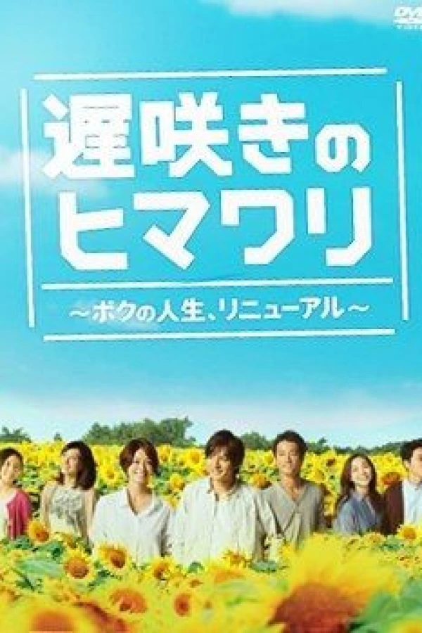 Late Blooming Sunflower My Life, Renewal Poster