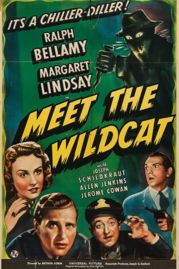 Meet the Wildcat Poster