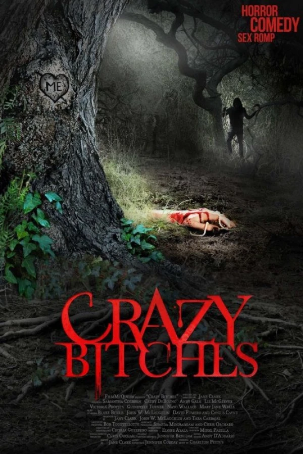 Crazy Bitches Poster