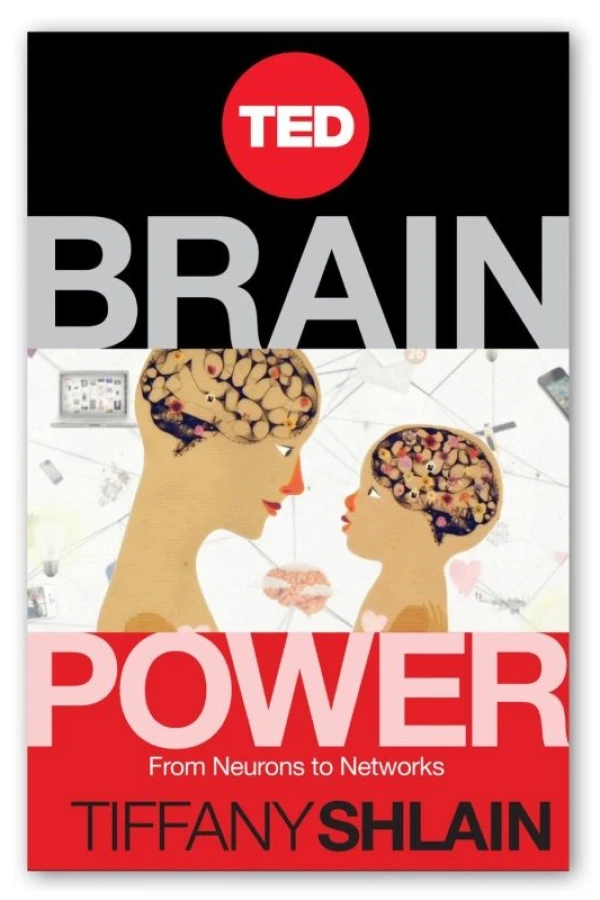 Brain Power: From Neurons to Networks Poster