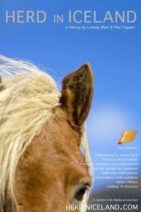 Herd in Iceland Poster