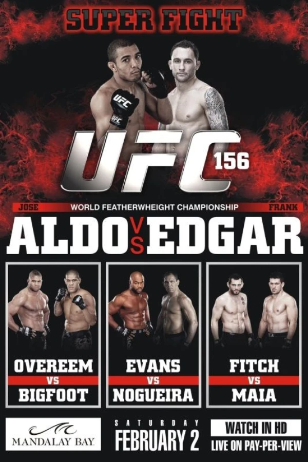 UFC 156 Aldo vs. Edgar Poster