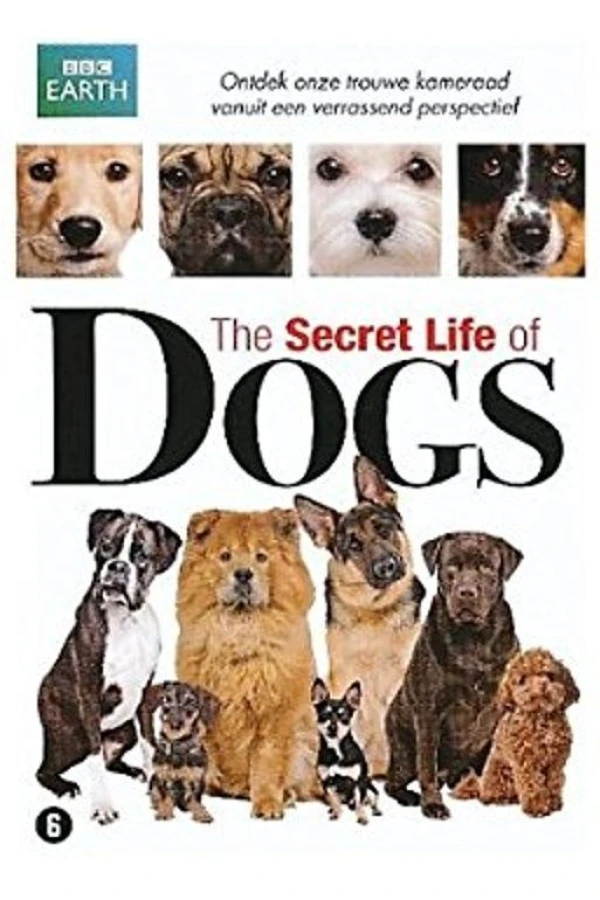 The Secret Life of Dogs Poster