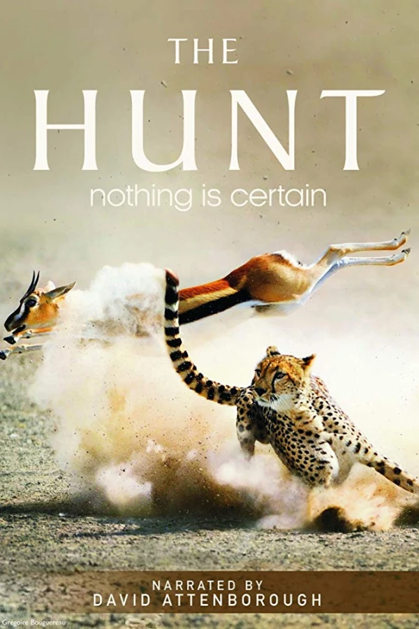 The Hunt Poster