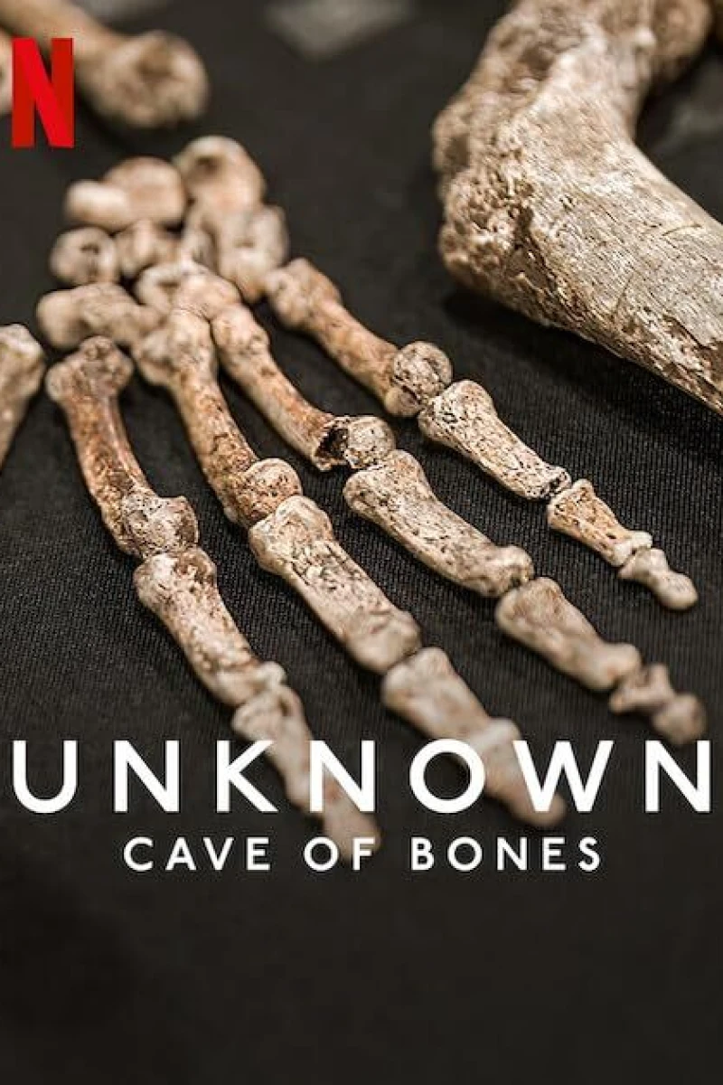 Unknown: Cave of Bones Poster