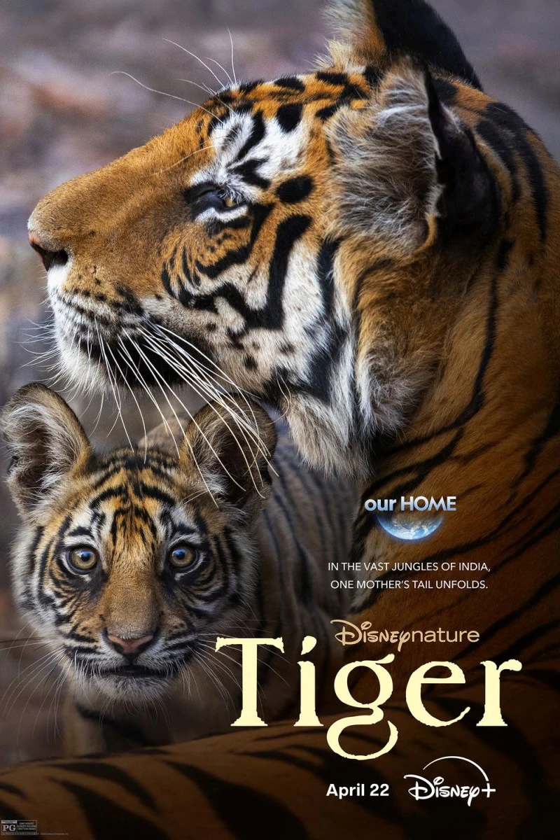 Tiger Poster