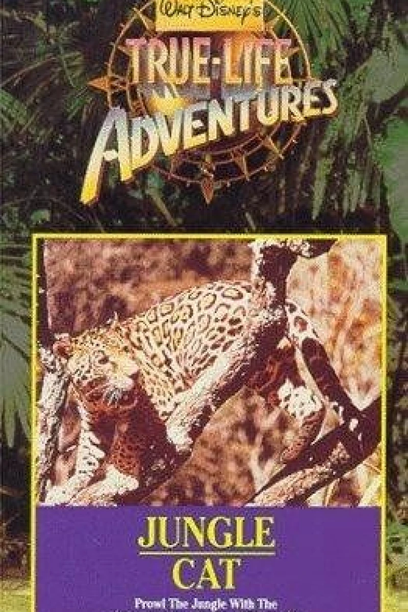 Jungle Cat Poster