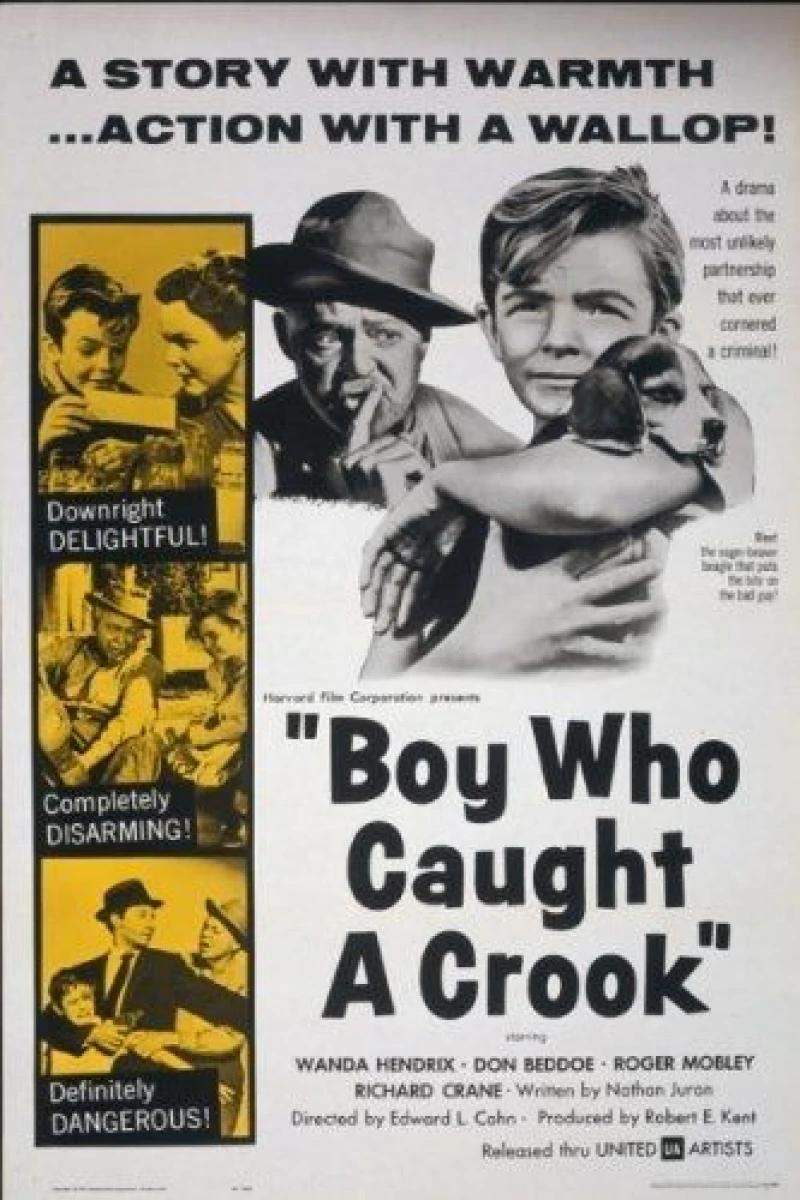 The Boy Who Caught a Crook Poster