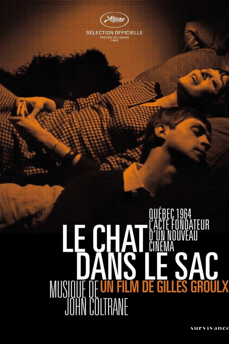 Cat in the Sack Poster