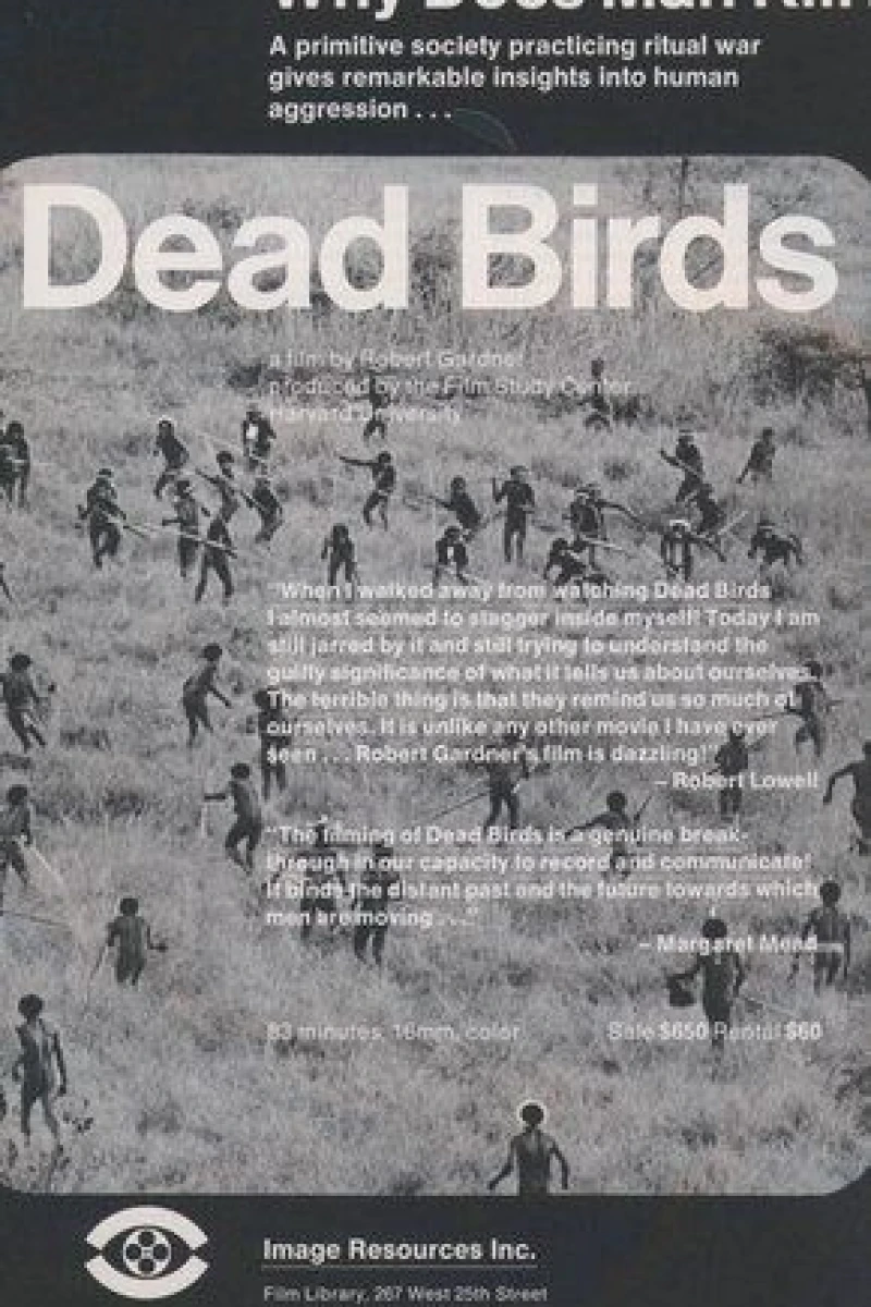 Dead Birds Poster