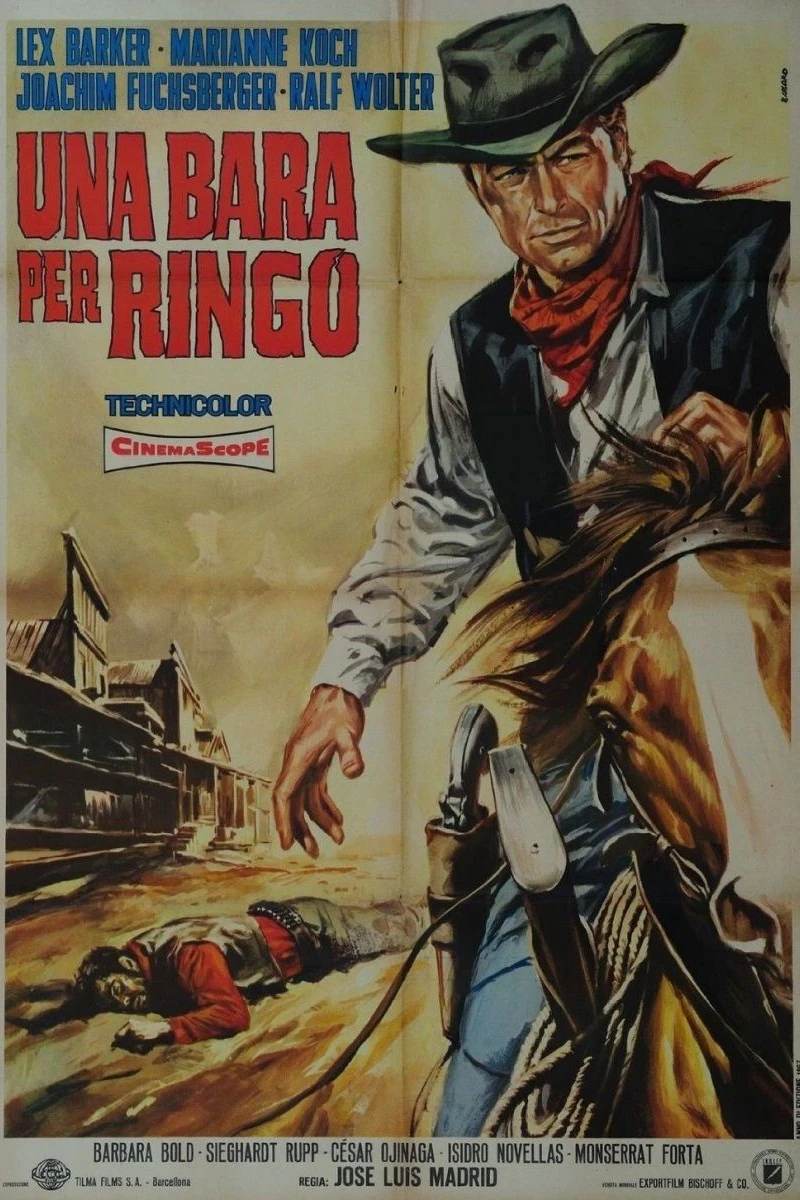 Who Killed Johnny R.? Poster