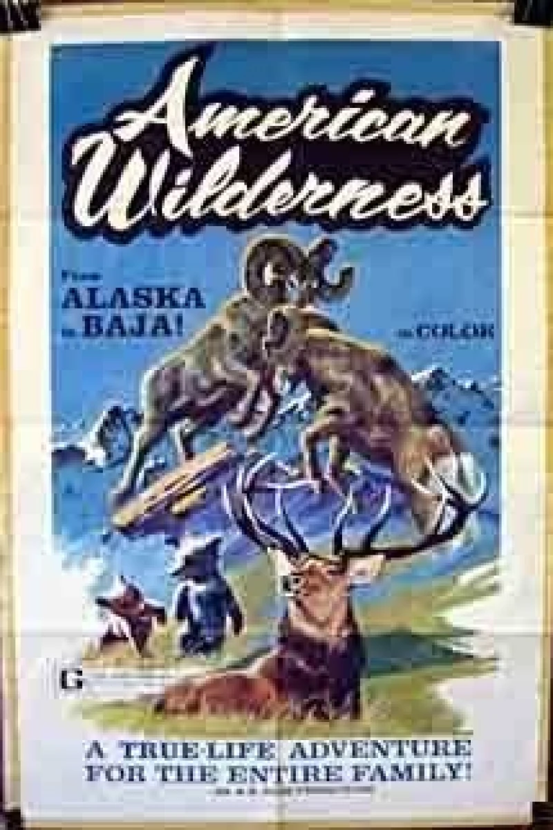 American Wilderness Poster