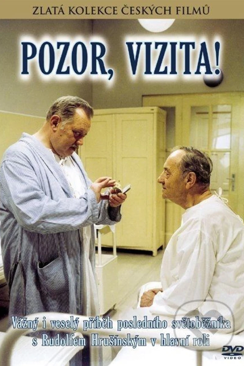 Pozor, vizita! Poster