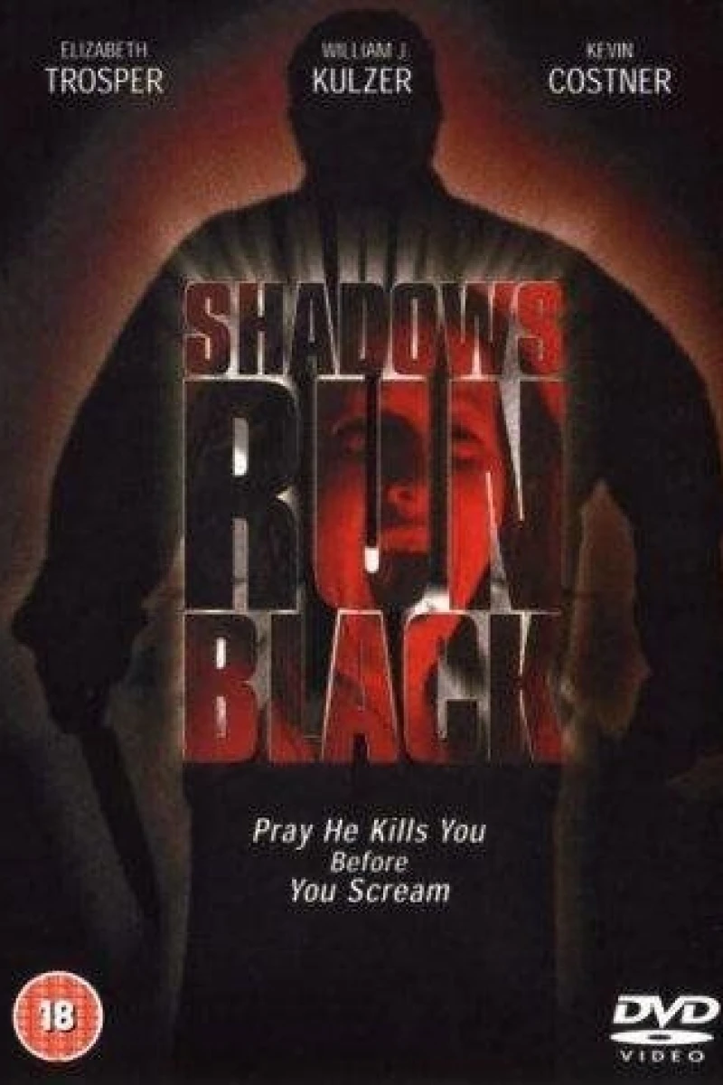 Shadows Run Black Poster