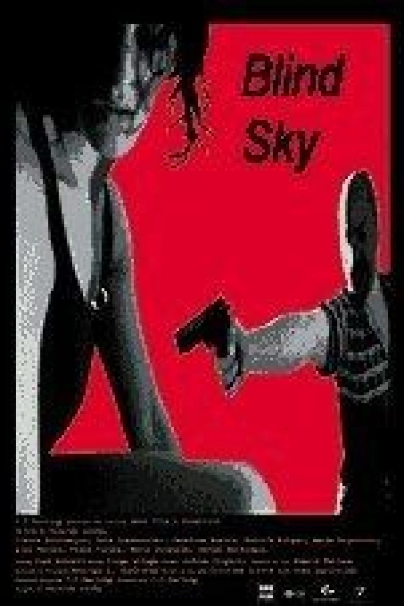 Blind Sky Poster