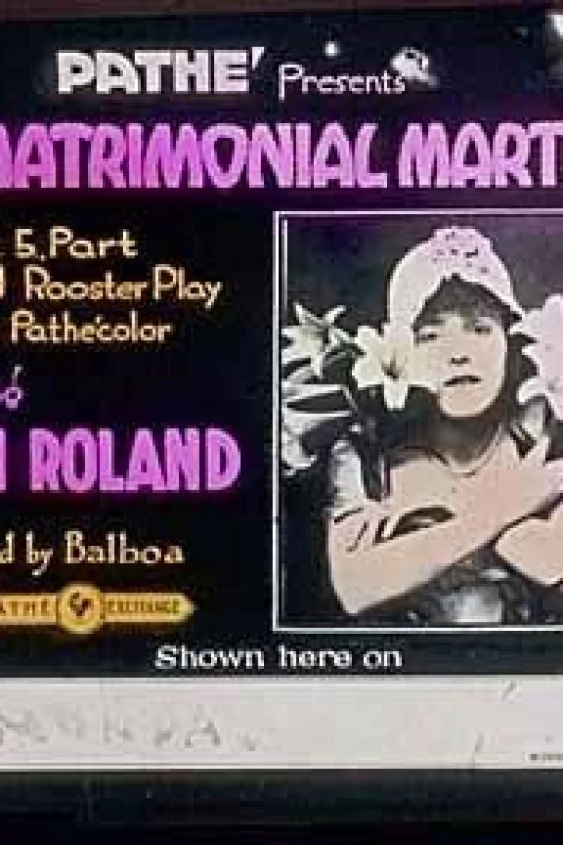 The Matrimonial Martyr Poster