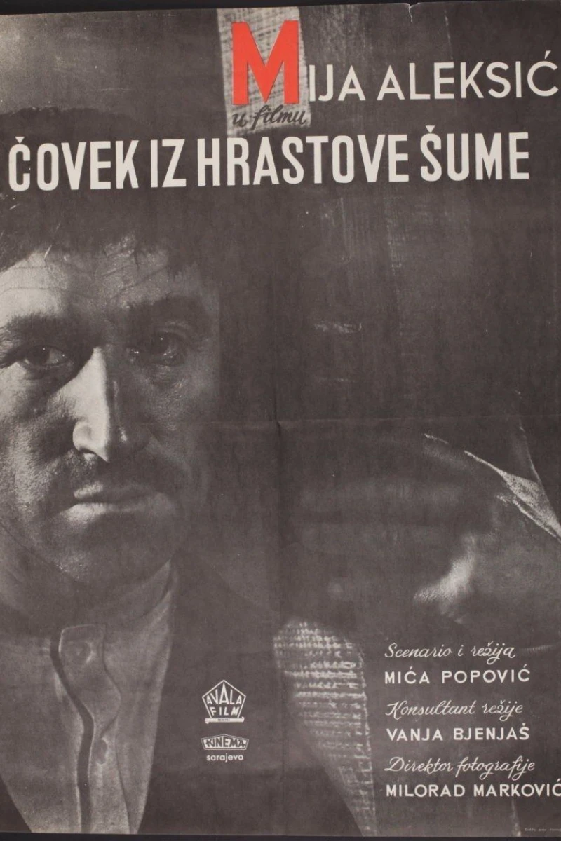 Covek iz hrastove sume Poster