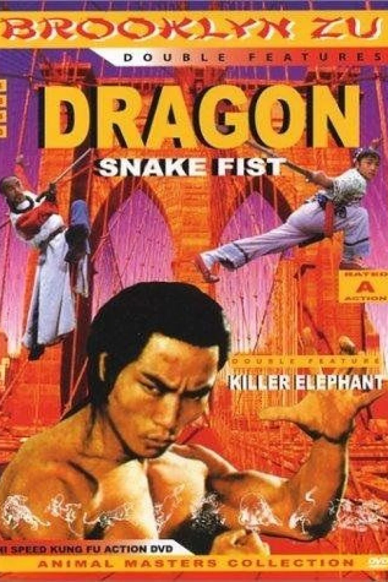 Snake Fist Dynamo Poster