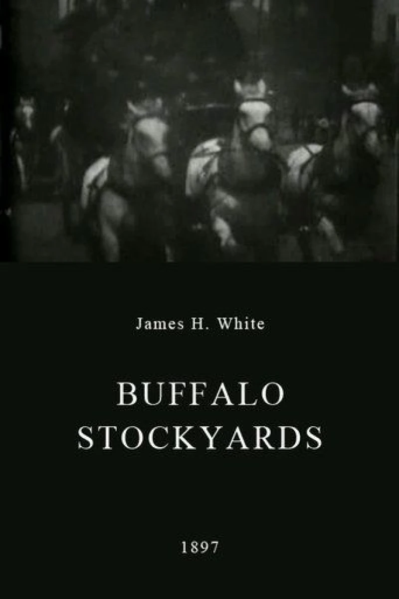 Buffalo stock yards Poster