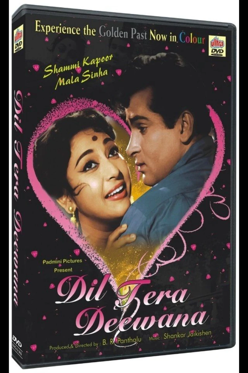 Dil Tera Diwana Poster