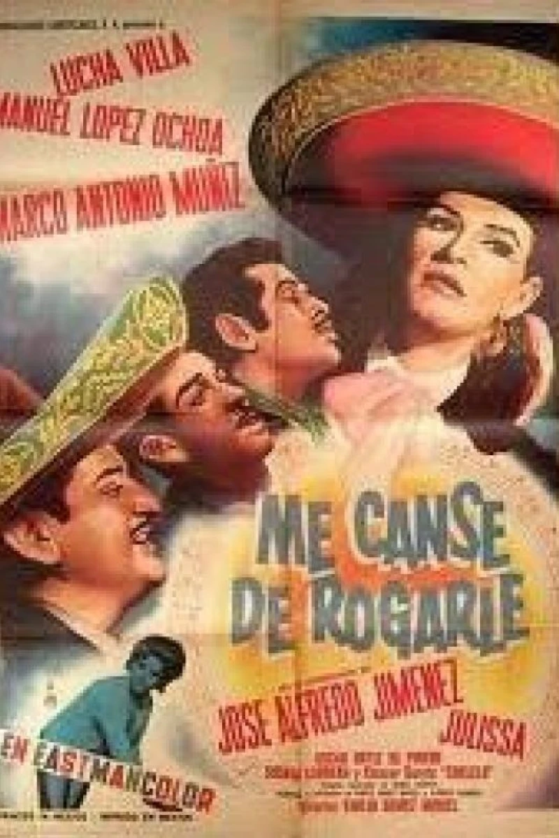 Me cansé de rogarle Poster