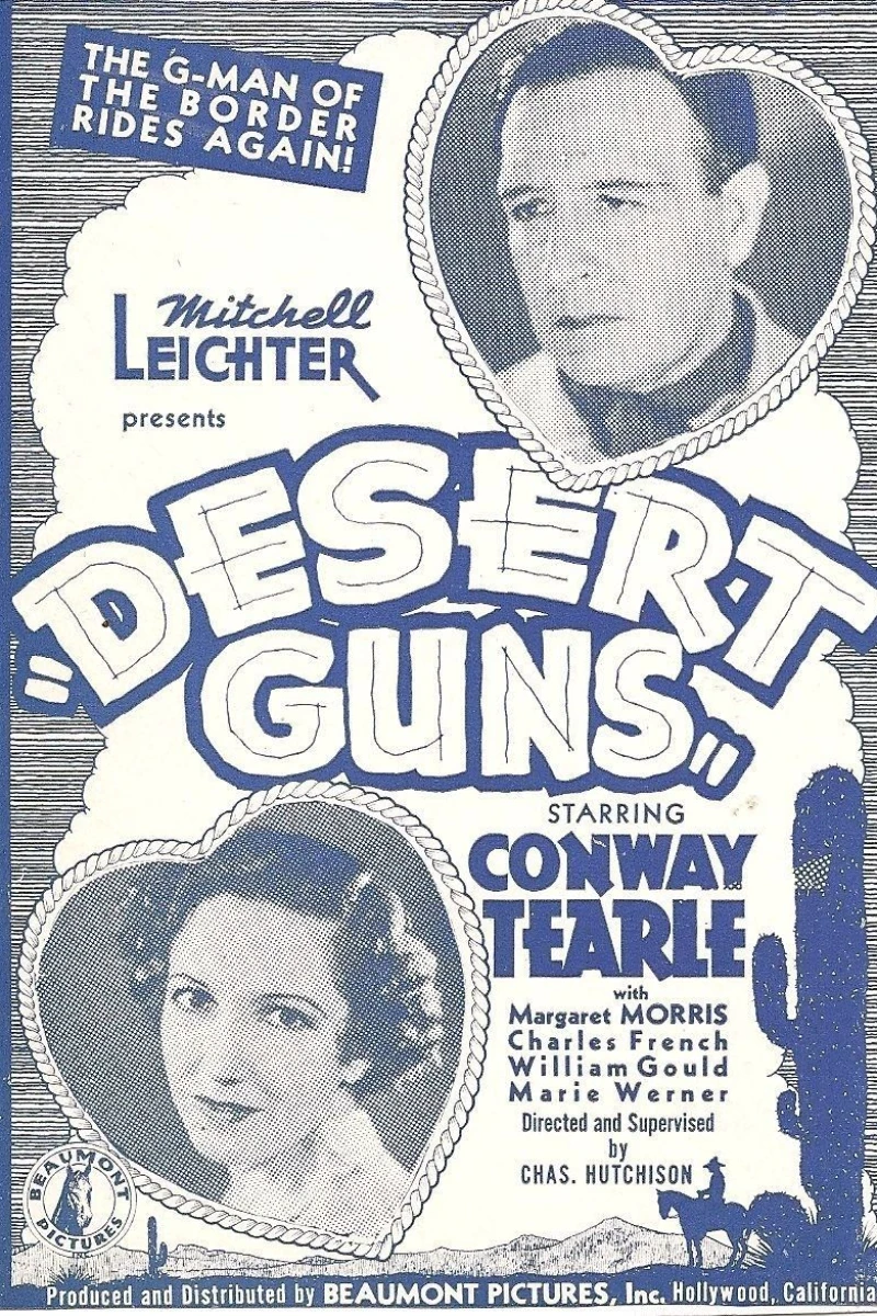 Desert Guns Poster