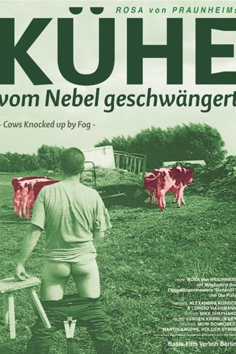 Cows Knocked Up by Fog Poster