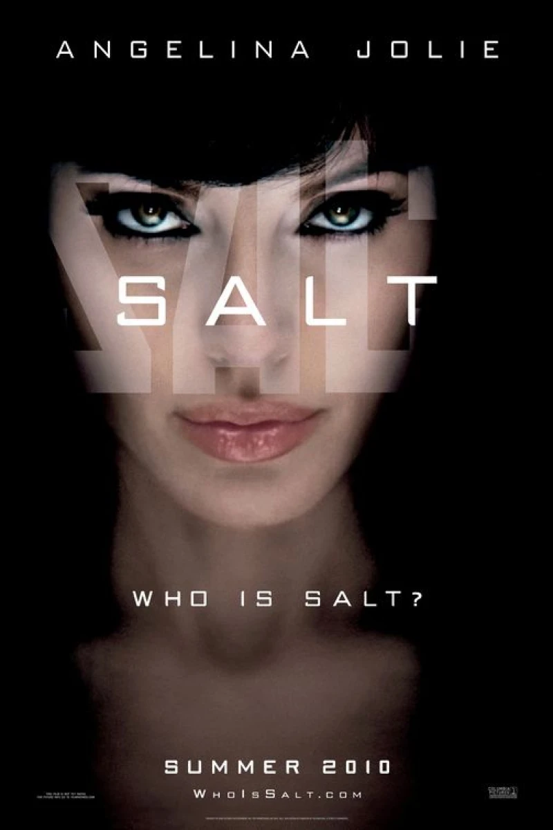 Salt Poster